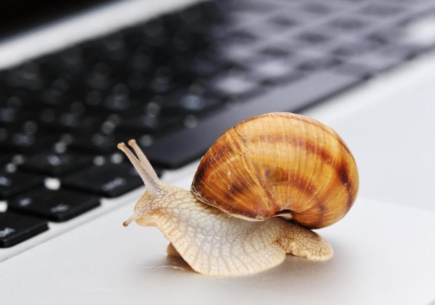 传统文化引领“新国潮”